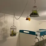 Pipistrelo Hostel *