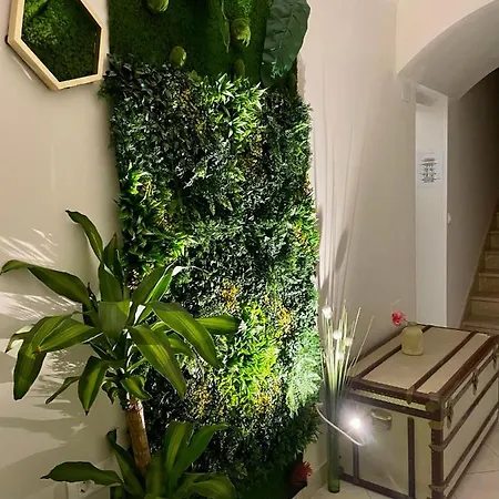 호스텔 Pipistrelo