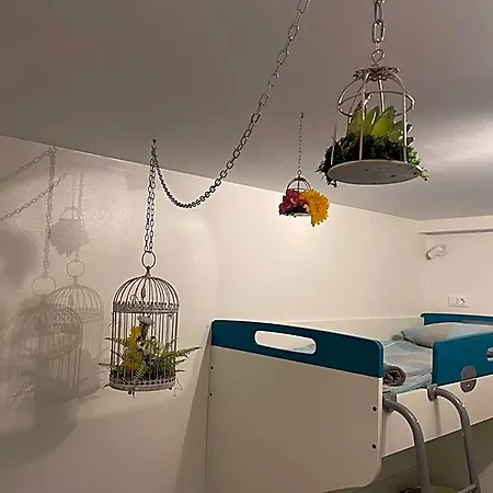 Pipistrelo 호스텔 *