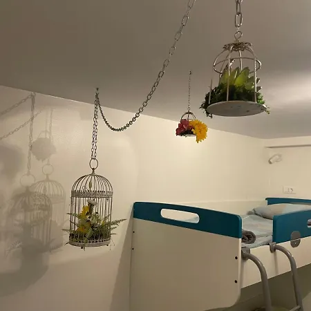 Pipistrelo Albergue *